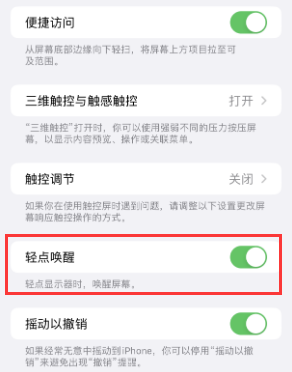 细河苹果授权维修站分享iPhone轻点无法唤醒怎么办 