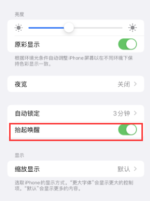 细河苹果授权维修站分享iPhone轻点无法唤醒怎么办