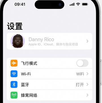 细河appleID维修服务iPhone设置中Apple ID显示为灰色无法使用