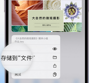 细河apple维修中心分享iPhone文件应用中存储和找到下载文件
