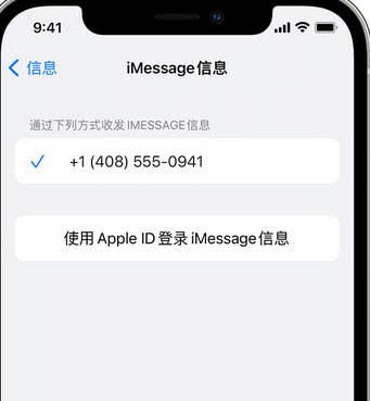 细河apple维修iPhone上无法正常发送iMessage信息 