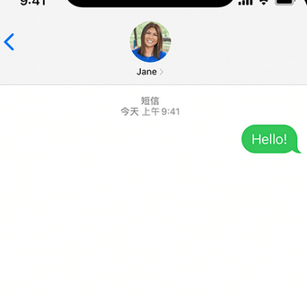 细河apple维修iPhone上无法正常发送iMessage信息