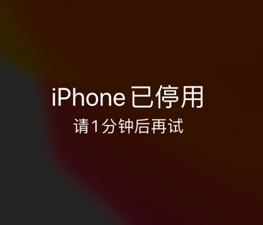 细河苹果手机维修分享:iPhone 显示“不可用”或“已停用”怎么办？还能保留数据吗？ 