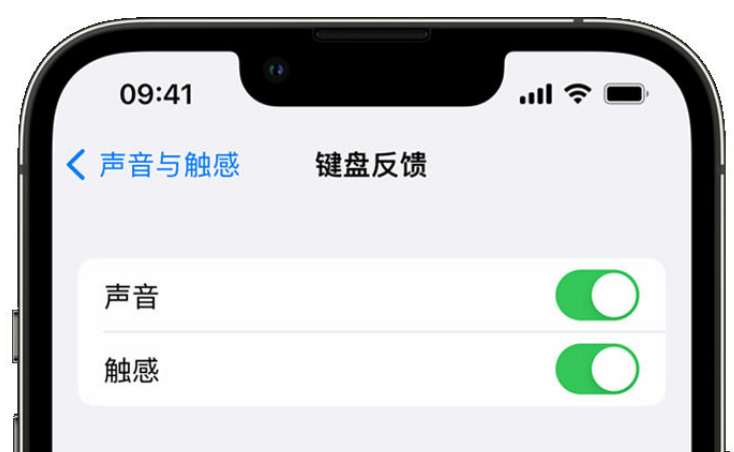 细河苹果手机维修分享iPhone 14触感键盘使用方法 