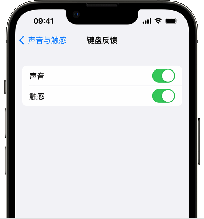 细河苹果14维修店分享如何在 iPhone 14 机型中使用触感键盘 