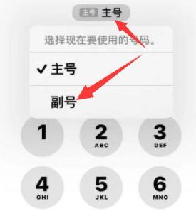 细河苹果14维修店分享iPhone 14 Pro Max使用副卡打电话的方法 