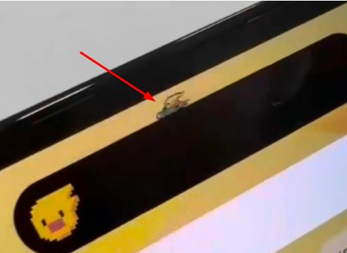 细河苹果14维修分享iPhone 14 Pro Max灵动岛怎么养宠物 