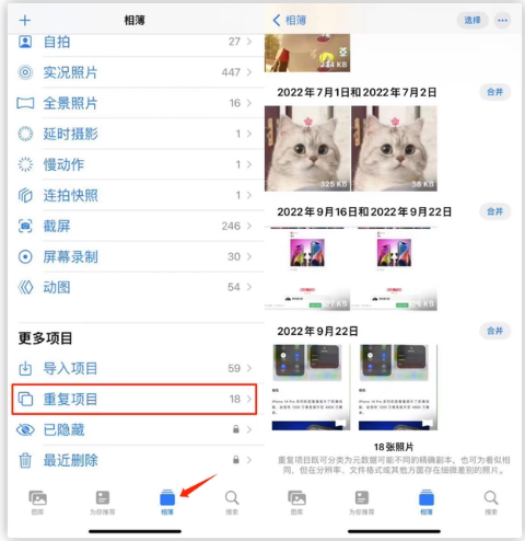 细河苹果手机维修分享iOS 16 中相册重复项目功能使用方法 