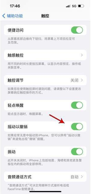 细河苹果手机维修分享iPhone手机如何设置摇一摇删除文字 