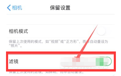 细河苹果13维修分享iPhone13拍照有绿点是怎么回事 