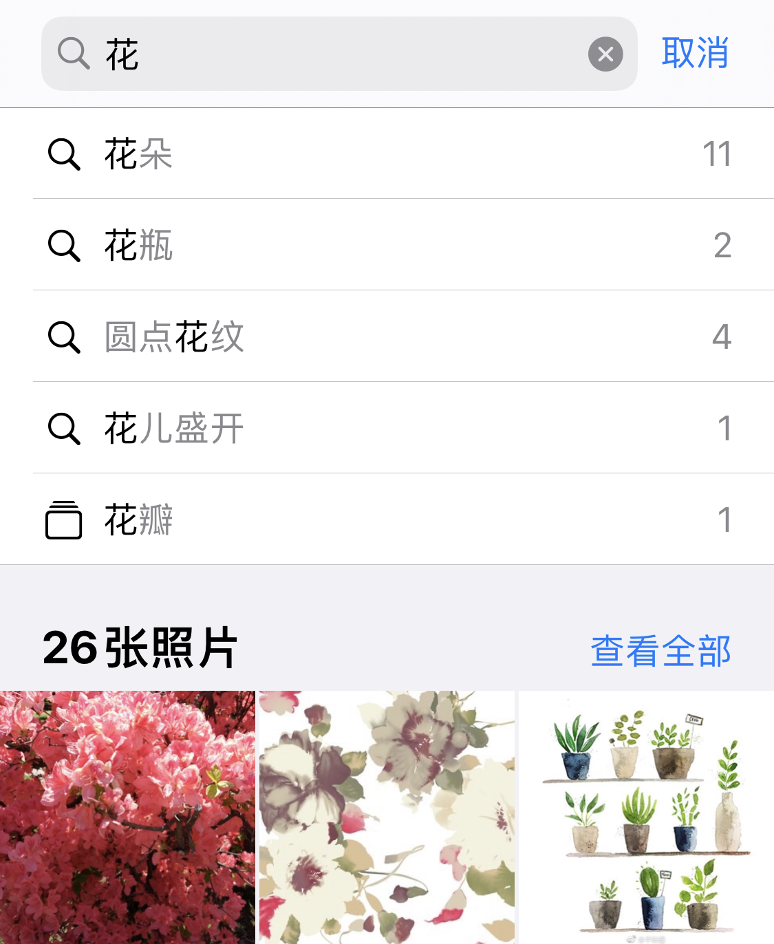 细河苹果手机维修分享iPhone 小技巧 