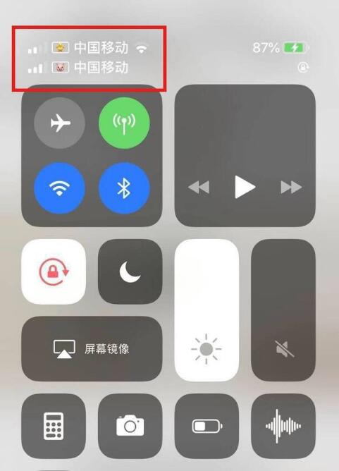 细河苹果手机维修分享为 iPhone 12 双卡设置标签 