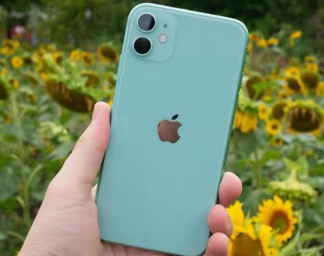 细河苹果维修点分享iPhone 11锁屏密码认知与使用科普 